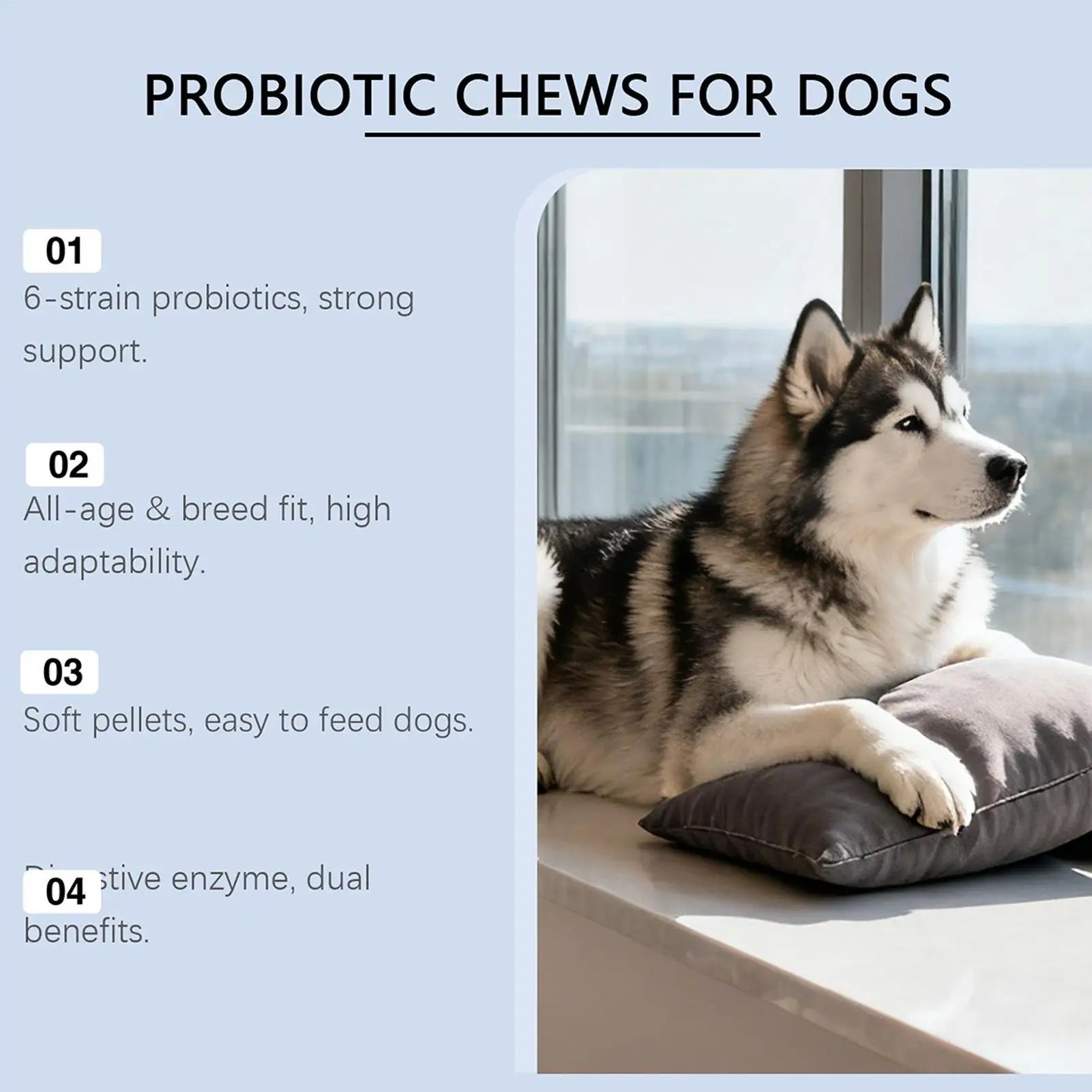 Petino Probiotic Plus Soft Chews
